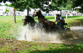 seebach