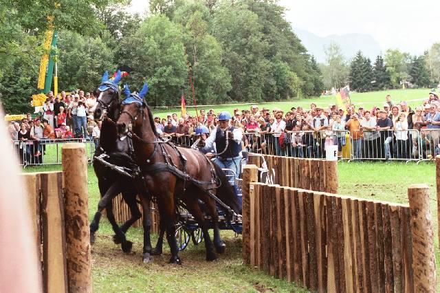 114reinhardBurggraGER2f